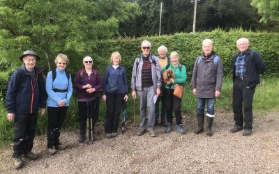 Beating the Bounds